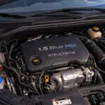 stellantis-1.5-Blue-Hdi-2025